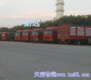 17.5板車(chē)?yán)蠹D片